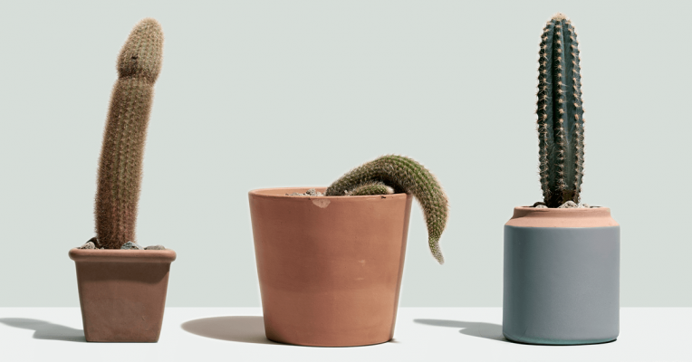 Dương vật mỗi người mỗi khác