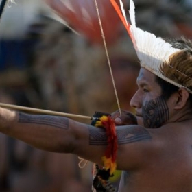 Đàn ông Brazil cưa phụ nữ bằng cá